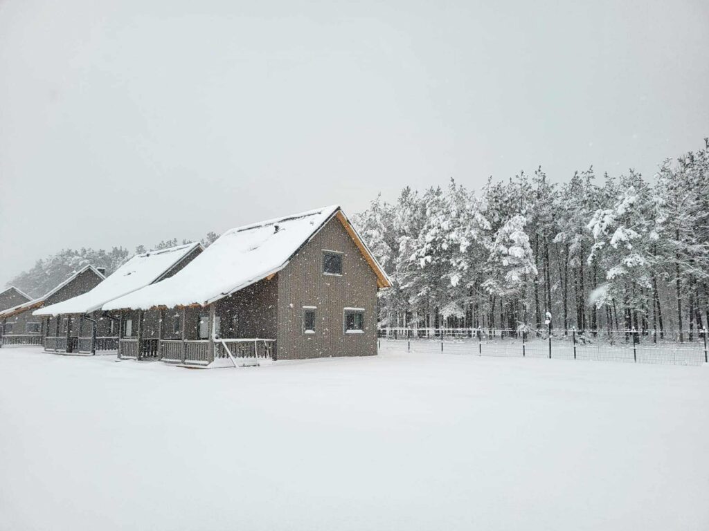 Zaśnieżone domki w lesie w zimowy dzień, z białym puchem na dachach i drzewach, tworzące spokojny, zimowy krajobraz.