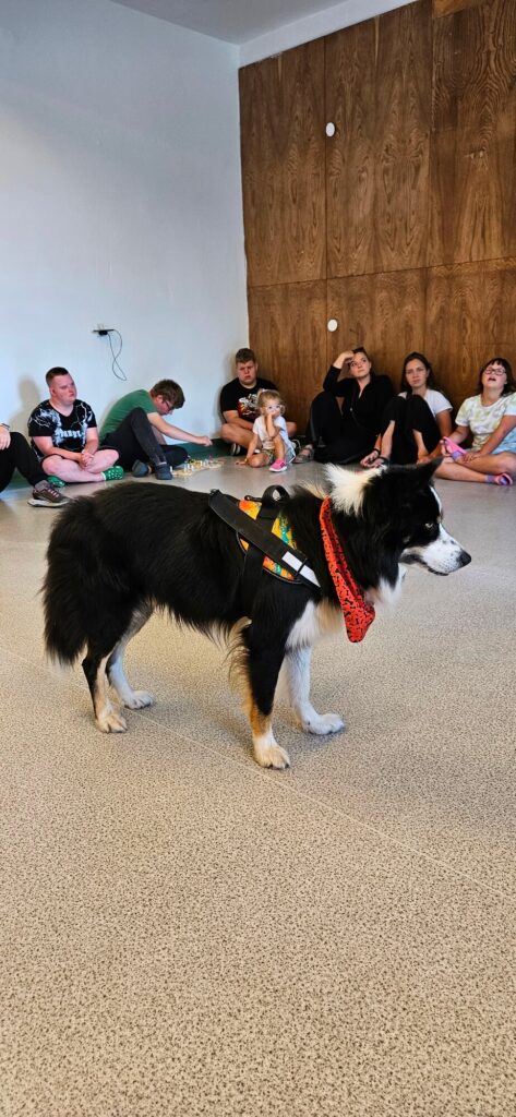 Czarno-biały pies w czerwonej bandanie stoi na środku sali, wokół ludzie siedzą na podłodze.