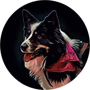 Ilustracja kolorowego psa z różową bandaną, patrzącego w bok, na czarnym tle.