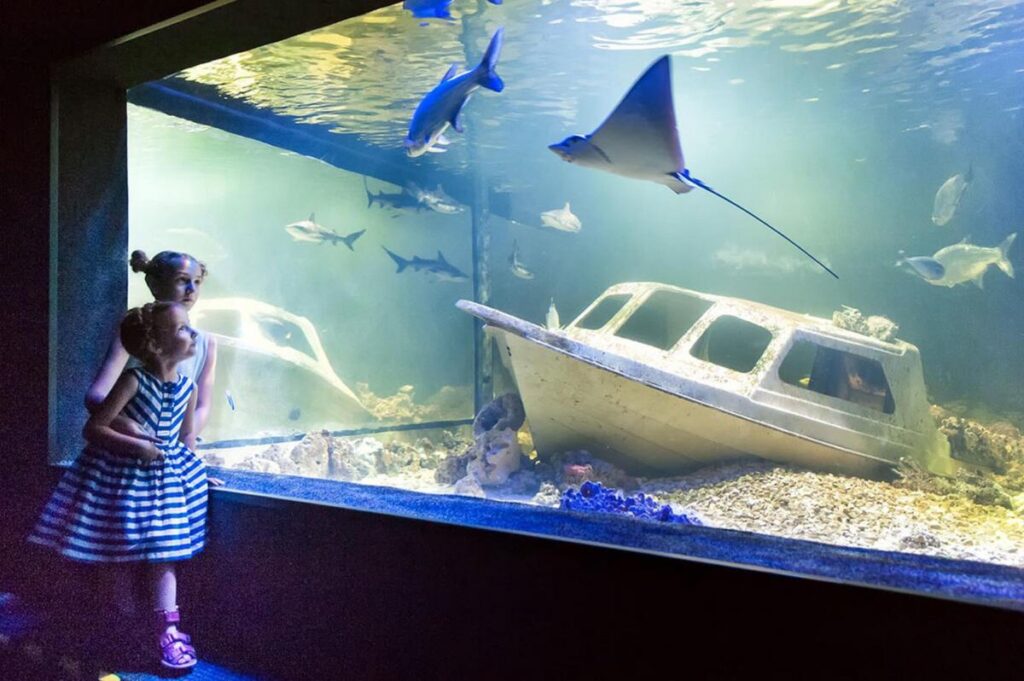 Dwie dziewczynki oglądają podwodne akwarium z rekinami, płaszczką i wrakiem łodzi.